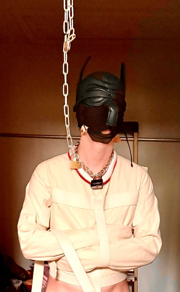 Straightjacketed pup chained up and in spreader bar, gagged and enjoying his predicament 