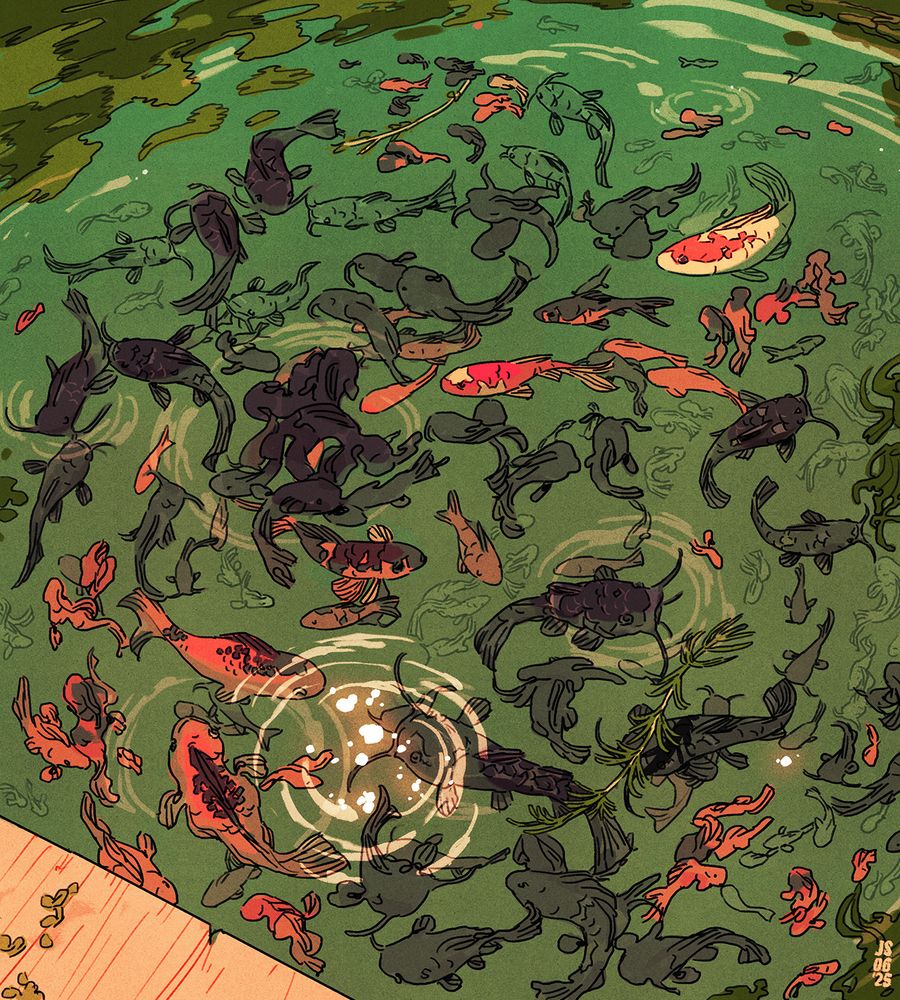 An illustration of a bunch of catfish and koi swimming in greenish murky waters. The bright orange red of the koi contrasts the darker purplish tone of the catfish, their thrashing creates ripples on the surface of the water and the sun scatters bright spotted highlights across the pond.