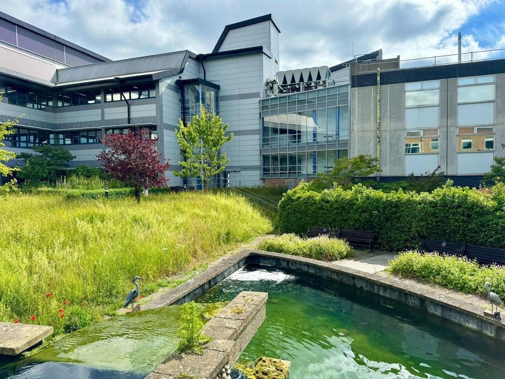Image of a blue John Innes Centre building and vibrant green grass courtyard with rippling pond set against clear, blue skies on a sunny day