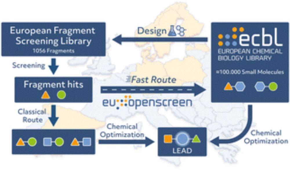 Design, quality and validation of the EU-OPENSCREEN fragment library poised to a high-throughput screening collection