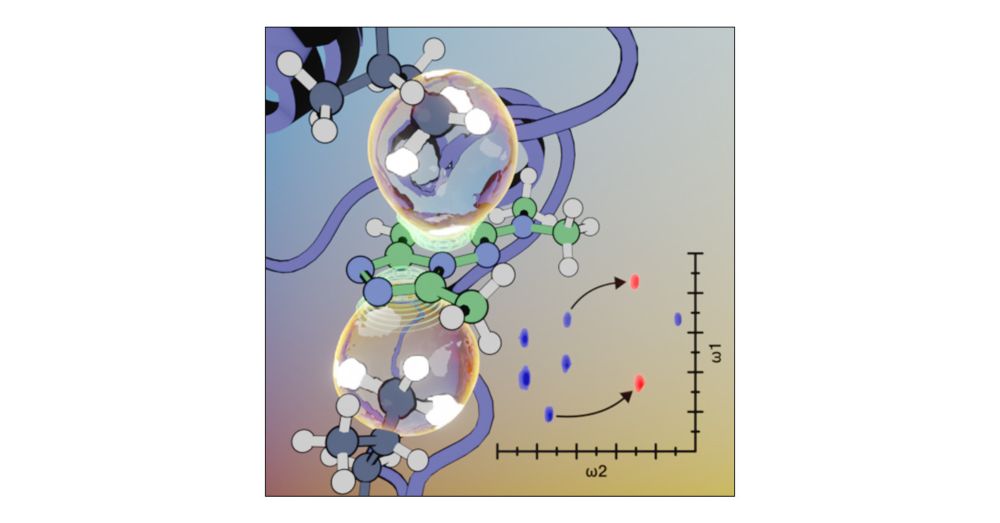 Probing Protein–Ligand Methyl−π Interaction Geometries through Chemical Shift Measurements of Selectively Labeled Methyl Groups