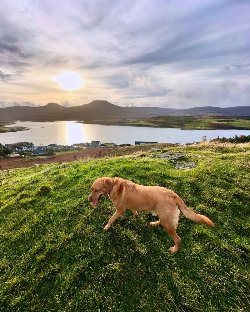 What it is to be on an elevated position overlooking your home village….The weather up there is always different and very often our ascent is met by high, bracing winds just as we reach the top. The wider view can stretch as far the Small Isles of Rum and Canna and from a few steps away the hills of the Outer Hebrides. There are misty distances despite the bight sunshine and the sparkling waters of Loch Dunvegan. 