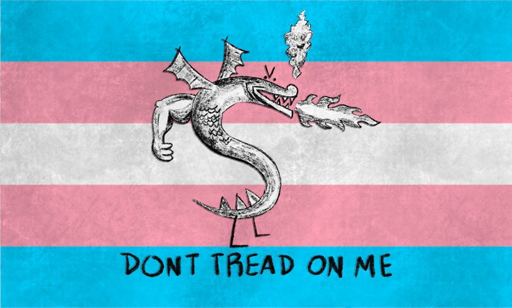 slightly edited trans flag