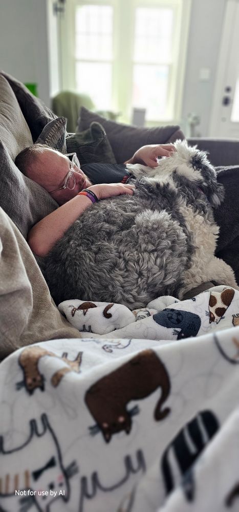 My husband, lying on the couch, with our gray and white Old English Sheepdog puppy, Colby, laying on him.