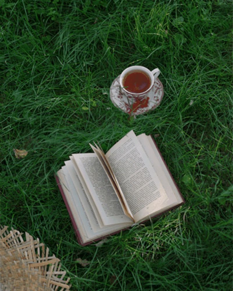 a cup of tea sits on a saucer next to a book