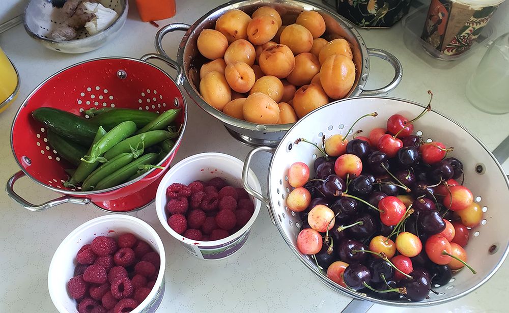 colanders of cherries, apricots, peas, and cucumbers, and tubs of raspberries on kitchen counter