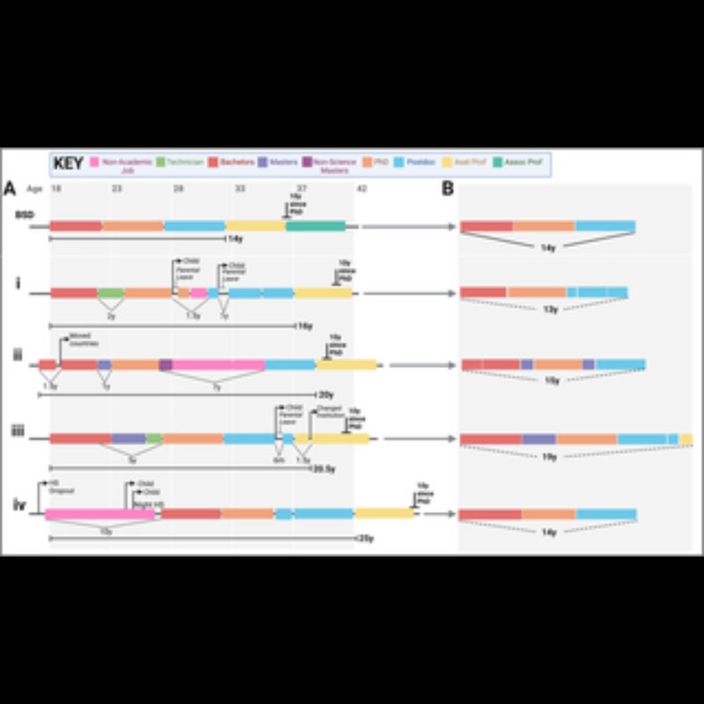 Supporting nonlinear careers to diversify science