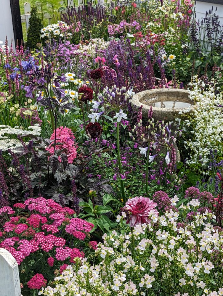 Clare Unwin - Shropshire Gardener Designs: 