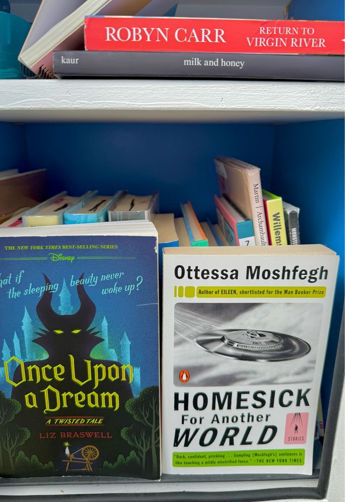 Four books with titles visible in a library sharing box: Return to Virgin River by Robyn Carr, Milk and Honey by Rupi Kaur, Once Upon A Dream by Liz Braswell, and Homesick for Another World by Ottessa Moshfegh