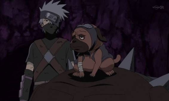Kid Kakashi, post-kannabi, standing in front of a rock wall and looking at pakkun, who is sitting on top of Bull's head and looking off to the side