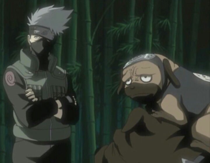 Kakashi and Pakkun looking towards something off-screen. They are in front of a bambu forest, Kakashi has his arms crossed, Pakkun is on top of Bull's head, who is looking towards Kakashi