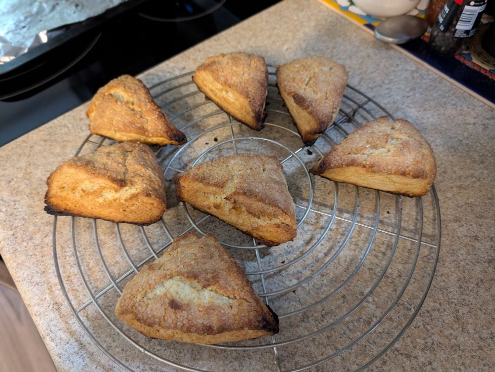 7 freshly baked scones, cooling on a wire rack