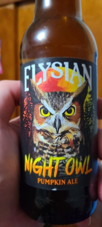 Spooky season beer: check -- Elysian Night Owl Pumpkin Ale