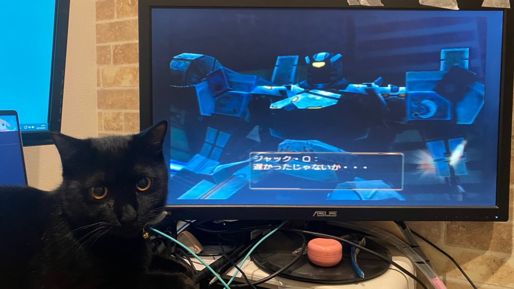 アーマードコアラストレイヴンを遊んでいる最中に画面前に乱入する黒猫の写真。こいついつも乱入してんな