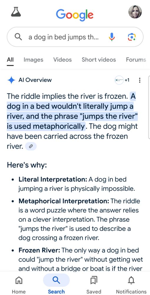 Google AI badly interprets a nonsense phrase "a dog in bed jumps the river"
