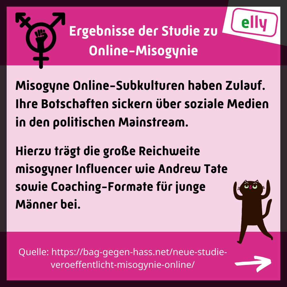 Ergebnisse der Studie zu  Online-Misogynie.

Misogyne Online-Subkulturen haben Zulauf. Ihre Botschaften sickern über soziale Medien in den politischen Mainstream.

Hierzu trägt die große Reichweite misogyner Influencer wie Andrew Tate sowie Coaching-Formate für junge Männer bei.