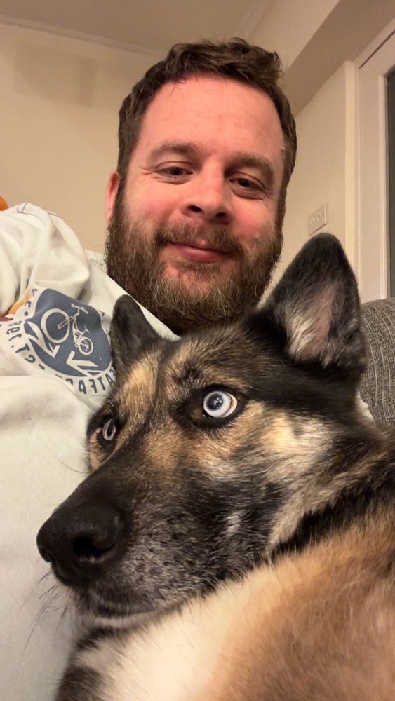 Dog 