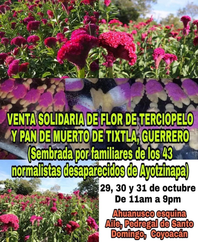 VENTA SOLIDARIA DE FLOR DE TERCIOPELO Y PAN DE MUERTO DE TIXTLA; GUERRERO

(Sembrada por familiares de los 43 normalistas desaparecidos de Ayolzinapa)

29, 30 y 31 de octubre De 11am a 9pm

Ahuanusco esquina Aile, Pedregal de Santo Domingo, Coyoacán