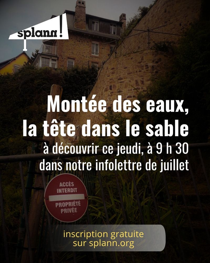 Montée des eaux, la tête dans le sable, à découvrir ce jeudi, à 9 h 30, dans notre infolettre de juilelt (inscription gratuite sur splann.org).