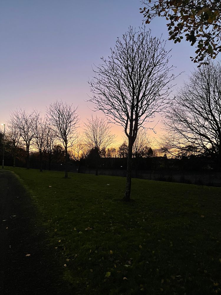 The dusk sky with an orange glow near the horizon just after sunset. With the silhouettes of mostly leafless trees in the foreground. 