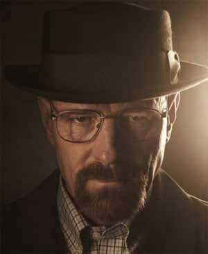 the same image of walter white