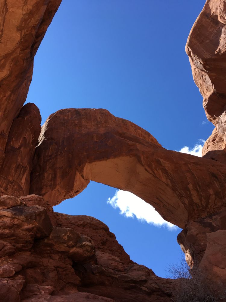 Double arches photographed from below with blue sky and white clouds in the background. The rock of the arches is red in color and demonstrates the erosive process that formed the arches. Photograph from Arches National Park.