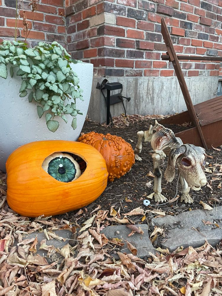 Close-up photo of eyeball pumpkin, accompanied by skeletal dog.