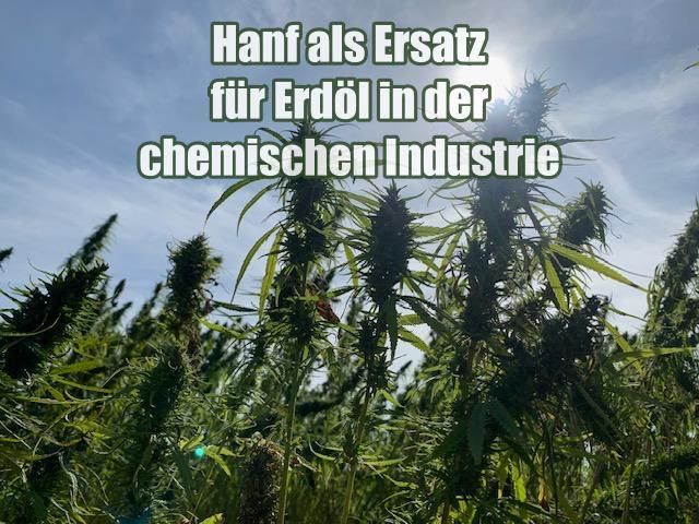 Hoher Biomasse-Ertrag

Hoher Gehalt an Cellulose

Nachhaltigkeit und Umweltfreundlichkeit

Potenzielle Anwendungen von Hanf in der chemischen Industrie

Hanf für Biokunststoffe

Farben, Lacke und Klebstoffe

Textilien und Verbundstoffe

Energiegewinnung

Wirtschaftliche Vorteile von Hanf gegenüber Erdöl

Unabhängigkeit von fossilen Ressourcen

Kosteneffizienz durch lokale Produktion

Wachsender Markt für nachhaltige Produkte