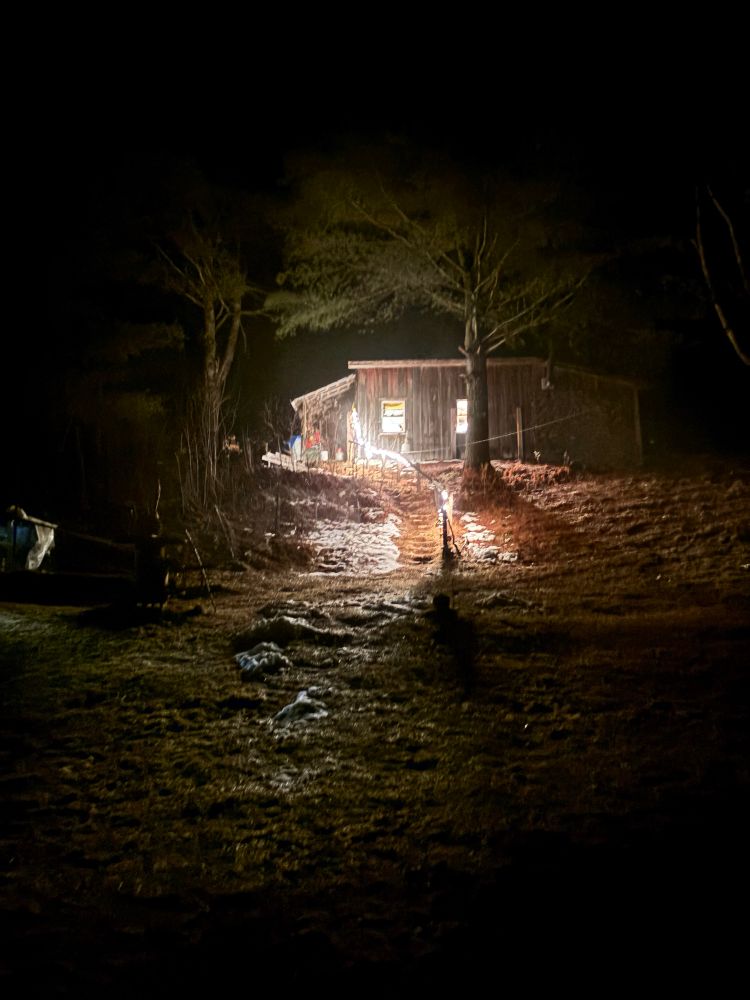 An old Vermont cabin in the pines on a hill after dark, lit up with electricity! There are mini lights on the wooden railing that accompanies the brick steps laid in amongst the root systems. The pine forest floor is covered in needles, with small piles of snow remaining unmelted from sweeping the steps. 