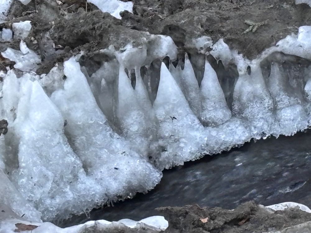 Ice stalagmites along the brook. 