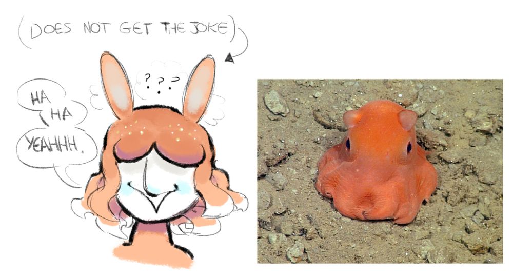 Cirrina the Dumbo Octopus not getting a joke AT ALL.