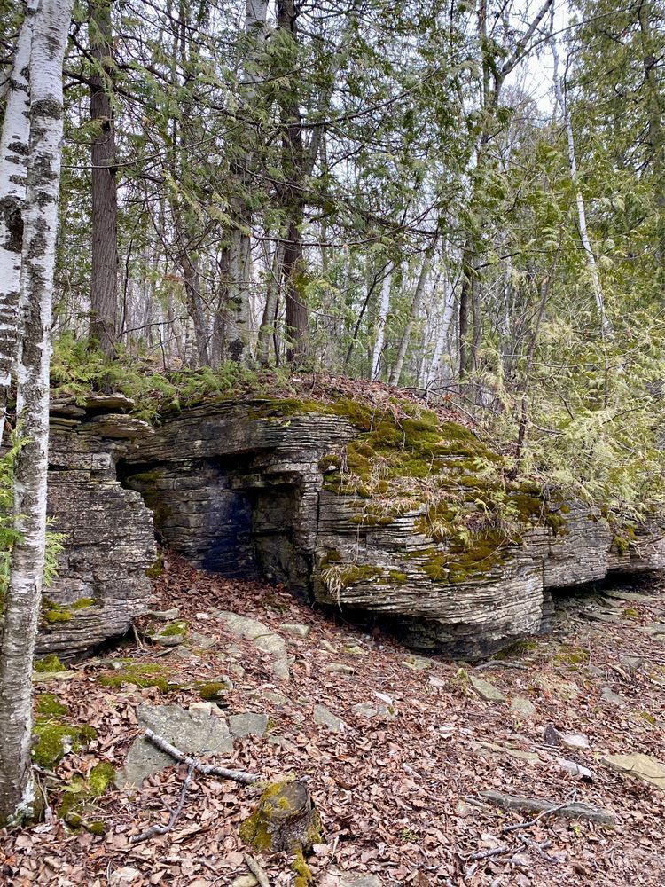 A leaf covered trail goes past gray rocks with many thin layers visible. Trees and moss grow on top of the rocks.