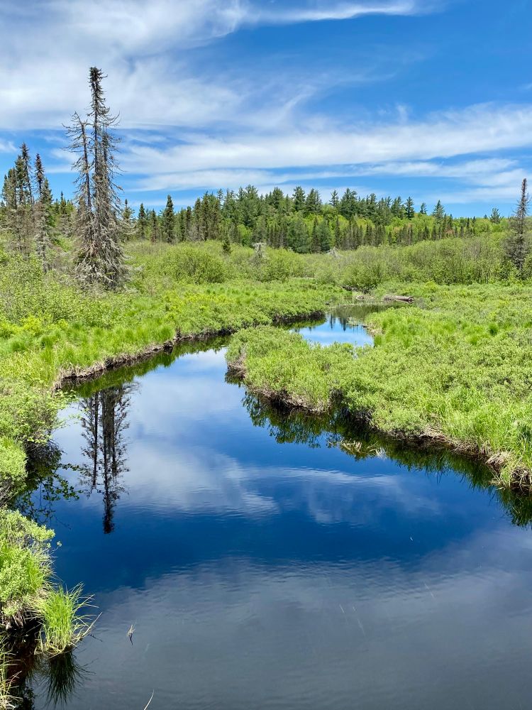 Bright blue sky with whisky clouds reflects on the dark winding Peshekee river in the yoop.
