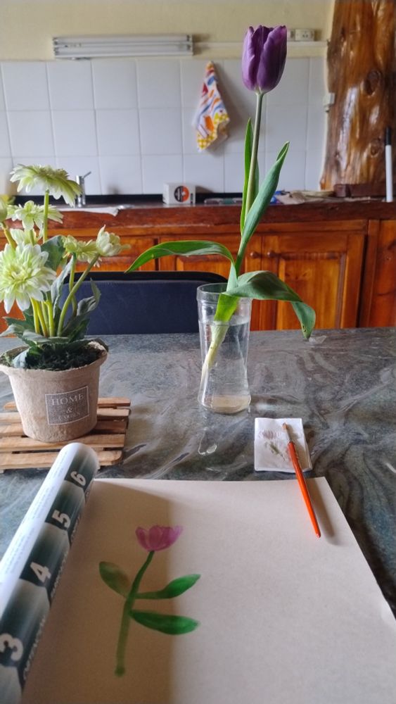 A tulip in a vase and a sketchbook with a painted tulip.