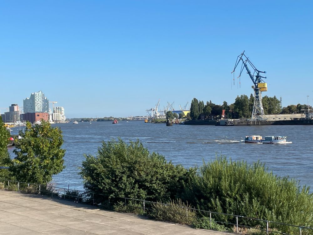 Ein Blick über die Elbe in Hamburg bei blauem Himmel. Auf der linken Seite ist in einiger Entfernung die Elbphilharmonie zu sehen, am rechten Ufer ein paar Hafenkräne. Ein kleines Boot schippert in der Mitte des Flusses auf den rechten Bildrand zu.  Im Vordergrund sind einige grüne Büsche.