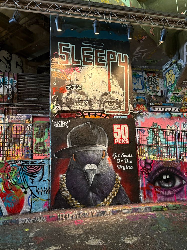 In einem Tunnel voller Streetart und Graffiti. Im Hauptfokus ein Bild im Stil eines Albumcovers: ein großer grauer Taubenkopf mit schwarzer Mütze und goldener Halskette. Es hat die Aufschriften "50 Peks" und "Get Seeds Or Die Trying". 
