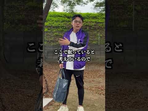 【犬猫の保健所】殺処分されてしまった子達も僕たちは忘れません。