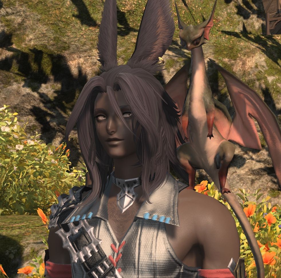 Xenia, a viera