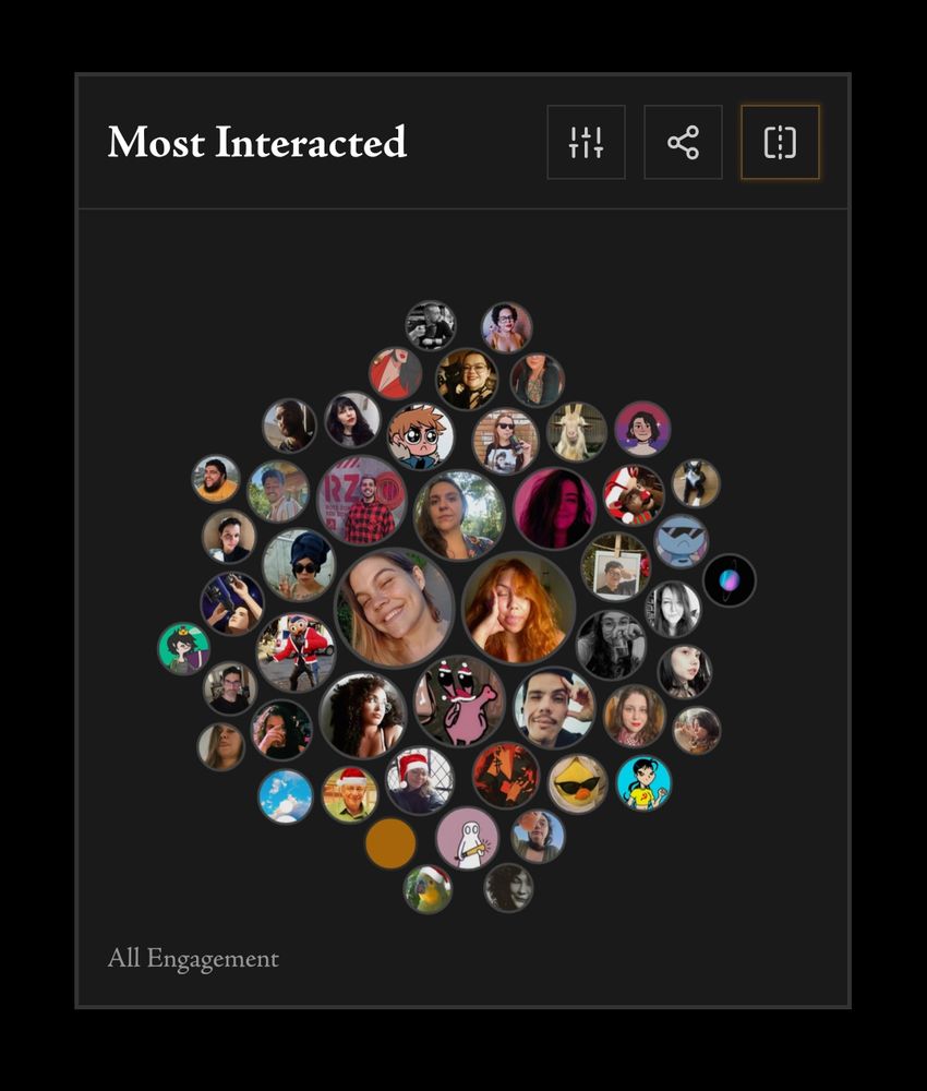 Diversos círculos com as fotos das pessoas com quem eu mais interagi no bluesky em 2025