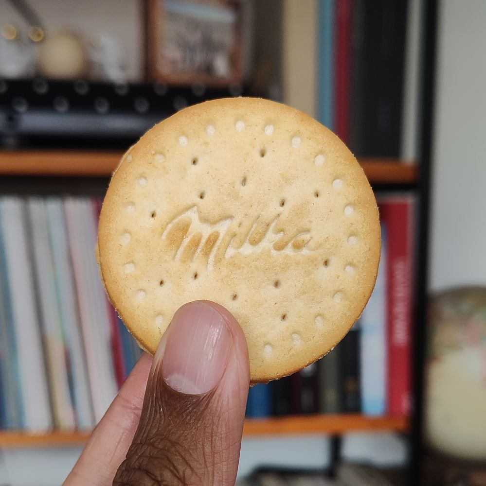 Minha mão segurando um biscoito. 
