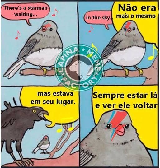 **Alt text:** Meme de quatro painéis com pássaros, misturando as letras de 