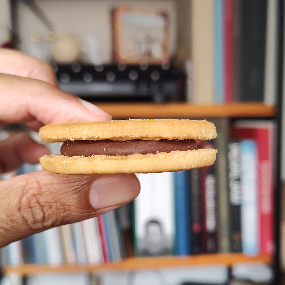 Minha mão segurando o mesmo biscoito, mas agora de lado. É possível ver o recheio. 