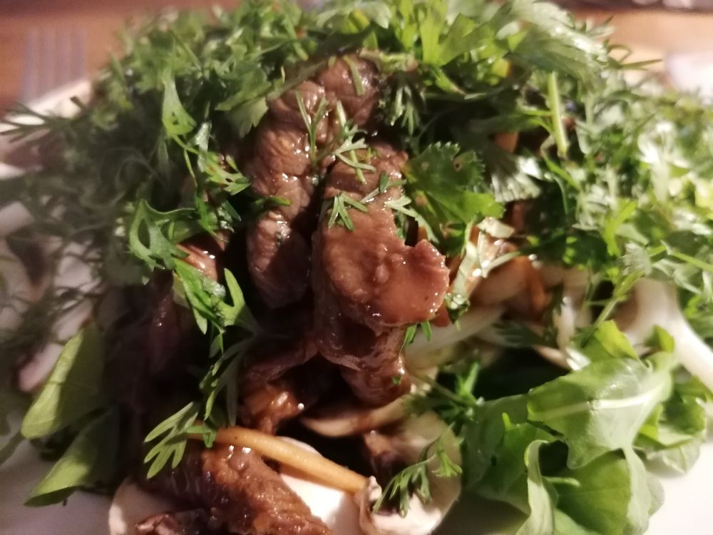 Bœuf sauté brillant sur une assiette de salade, champignons, udon recouvert de coriandre et de basilic vietnamien