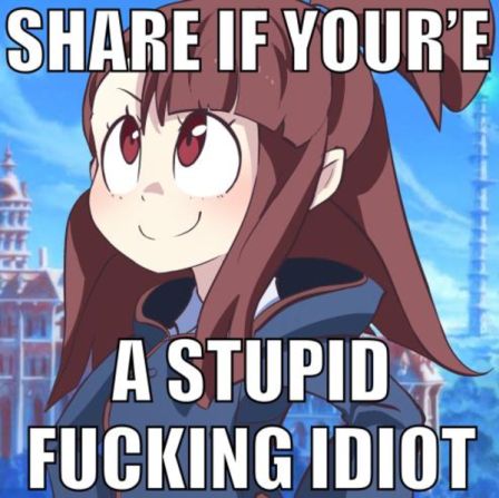 Image of Akko from Little Witch Academia with the caption "Share if you're a stupid fucking idiot"
