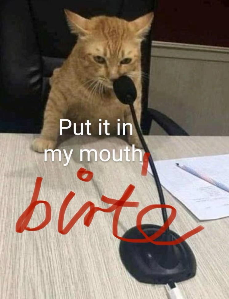 Katze “spricht” in ein Mikrofon:
Put it in my mouth
