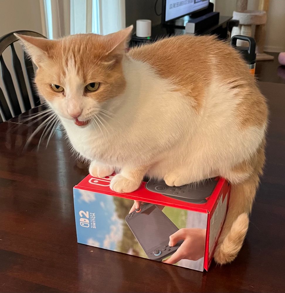 An orange chunky cat sitting on a new Switch 2 box