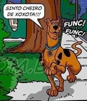 Meme do Scooby Doo dizendo "sinto cheiro de xoxota!!!" com a onomatopeia "FUNC! FUNC!" dele farejando.
