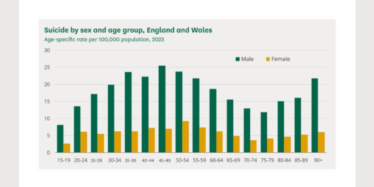 A bar chart showing that more than twice as many (sometimes three times as many) men and boys committed suicide in England and Wales in 2023 than women and girls