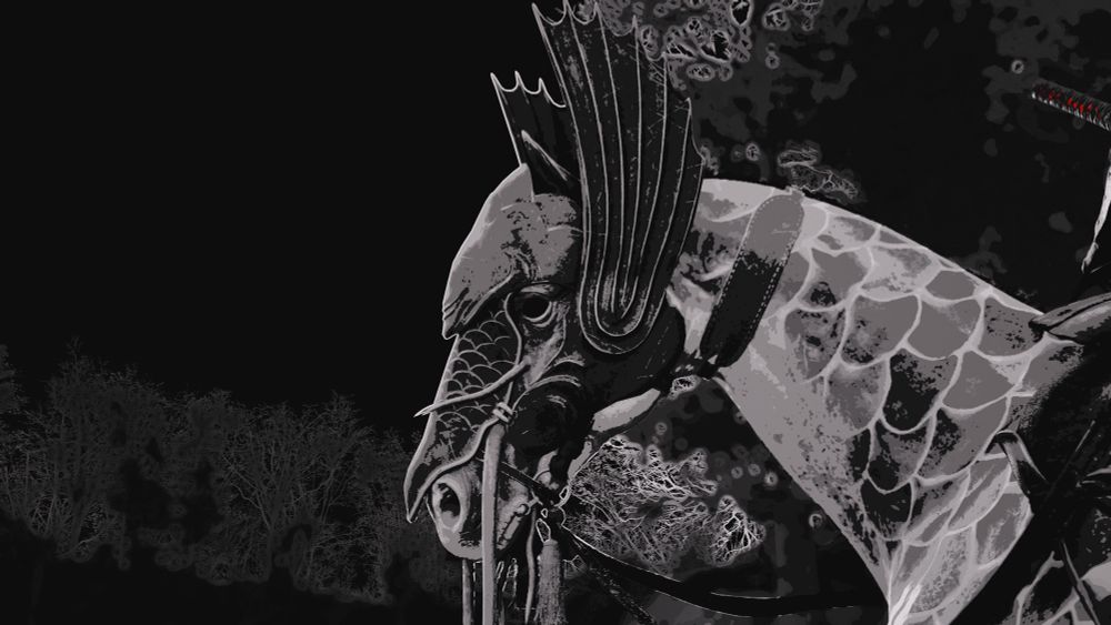 Assassins’s Creed Shadows virtual photography. Water horse head and neck with b&w filter, almost looks like a scratch drawing, white lines on black. 
