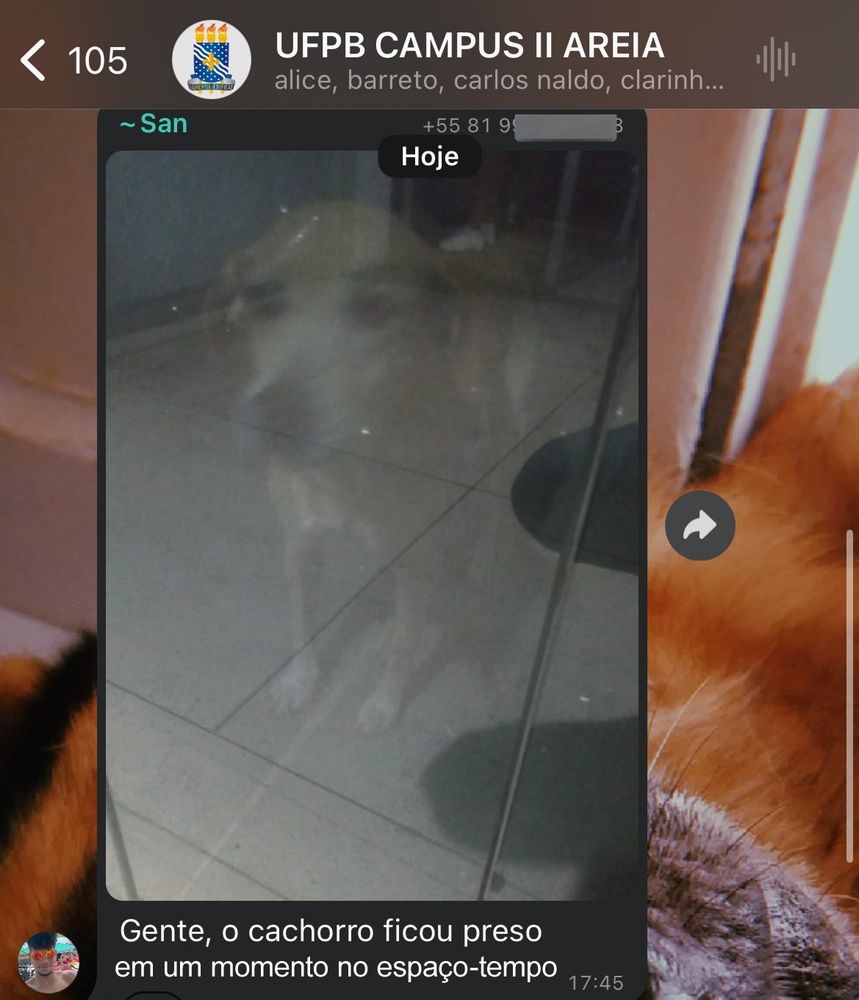 print do grupo "UFPB CAMPUS II AREIA" com a foto de um cachorro prese dentro de uma sala de aula do outro lado de um vidro, parecendo que ele está transparente

Na descrição da foto, a mensagem "Gente, o cachorro ficou preso em um momento no espaço-tempo"

O final da frase é uma montagem